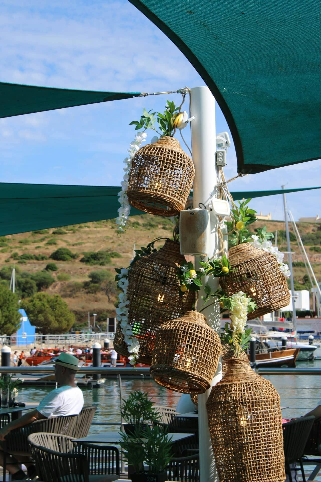 Dolphin-watching boat ride in Portugal with lunch