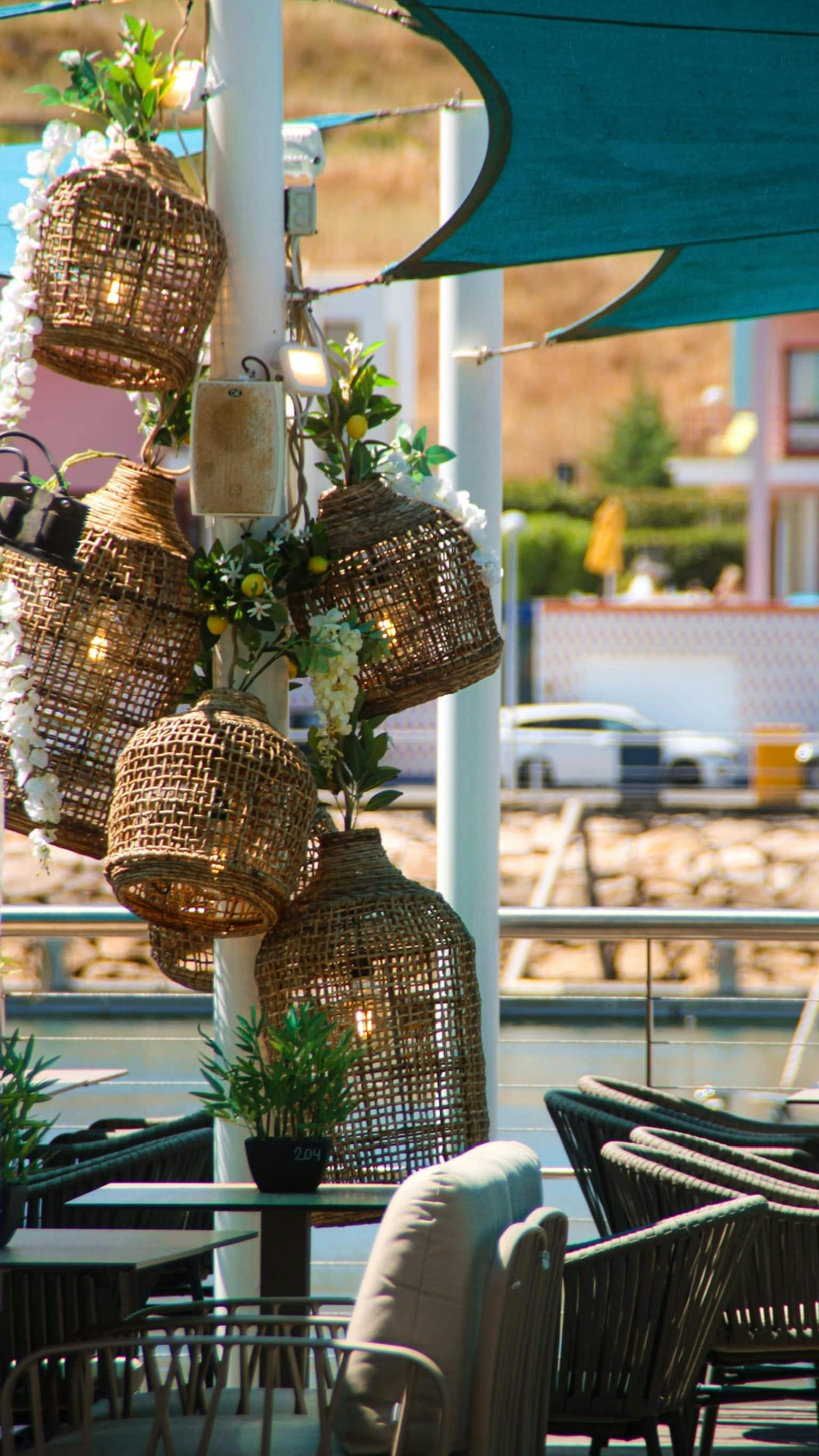 Dolphin-watching boat ride in Portugal with lunch
