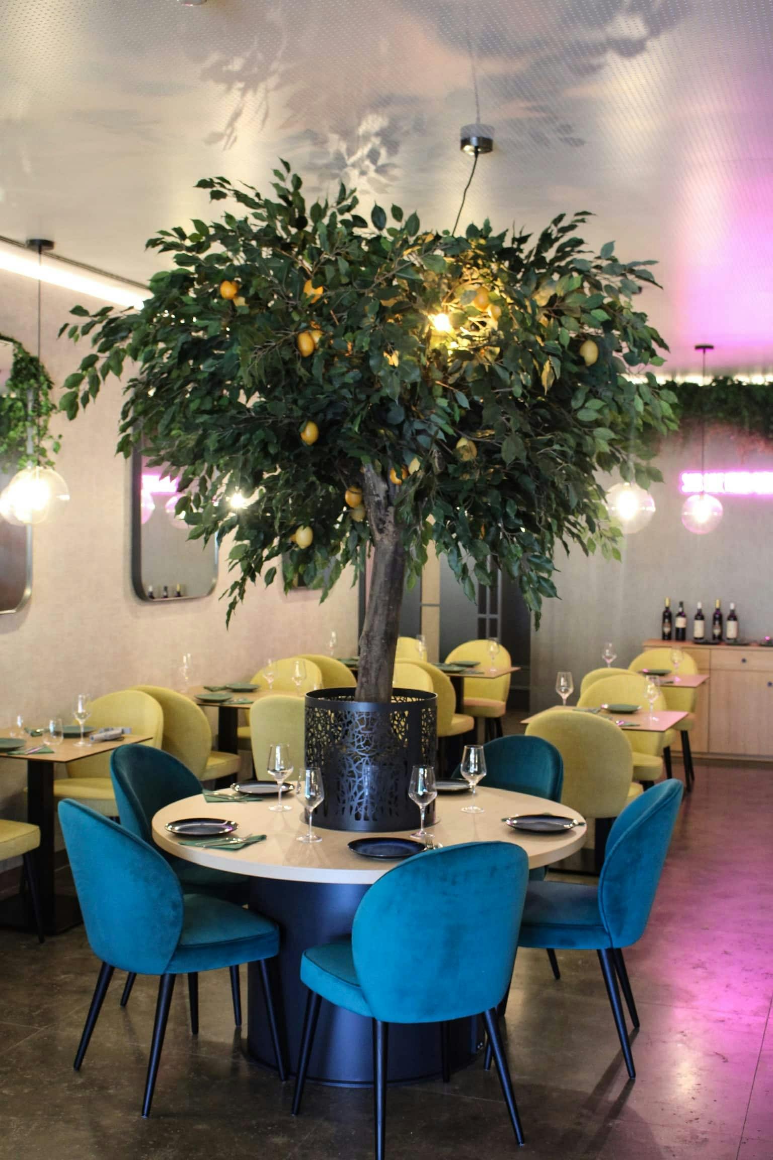 Dolphin-watching boat ride in Portugal with lunch