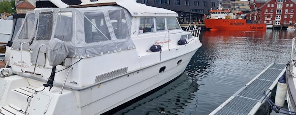 Arktisches Angeln in Tromsø