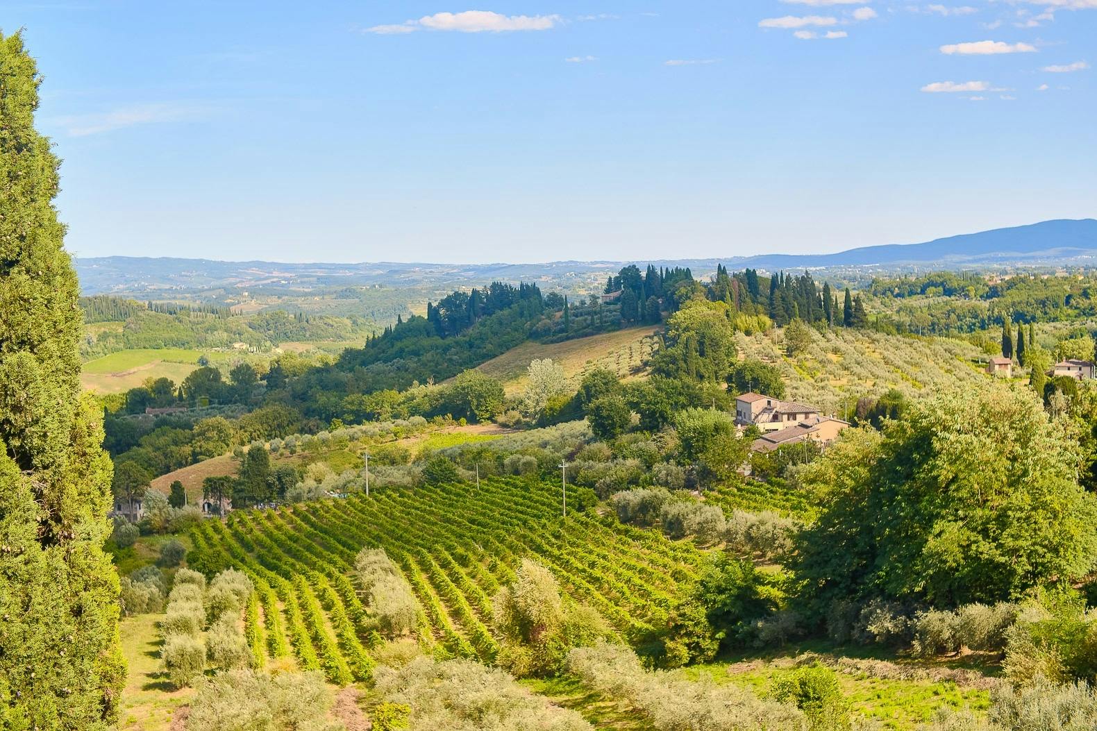 Private day trip to Siena, San Gimignano and Pisa from Florence