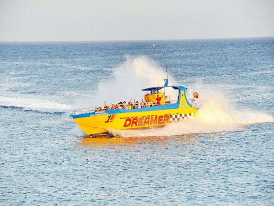 Dolfijnensafari en boottocht naar een zeegrot met lunch - alleen ticket