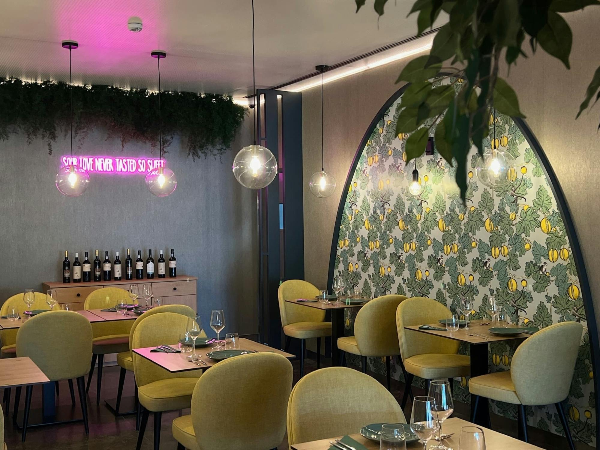 Dolphin-watching and sea cave boat ride with lunch – ticket only