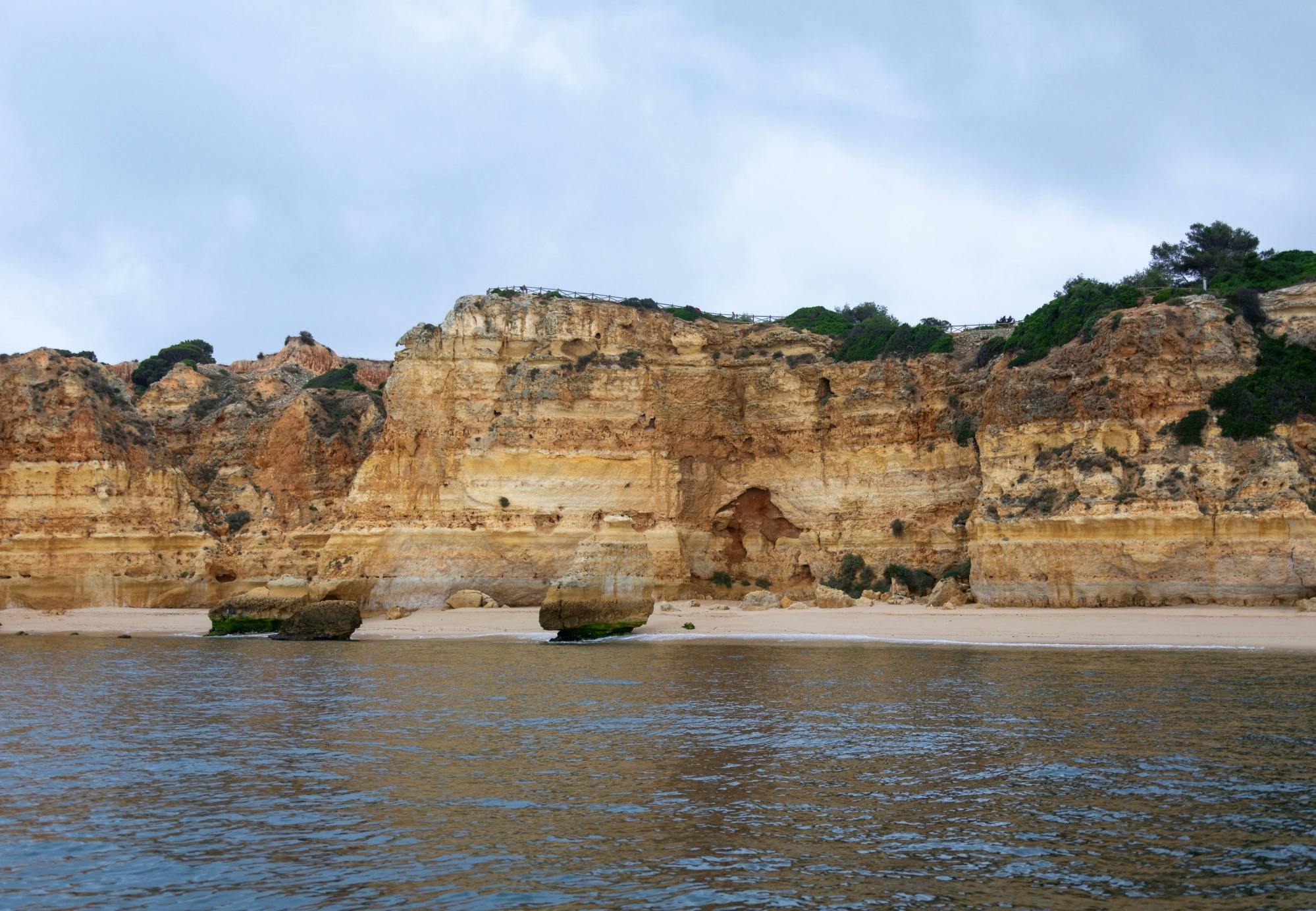 Dolphin-watching and sea cave boat ride with lunch – ticket only