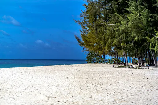 Full-day early Phi Phi and Bamboo Islands by speedboat