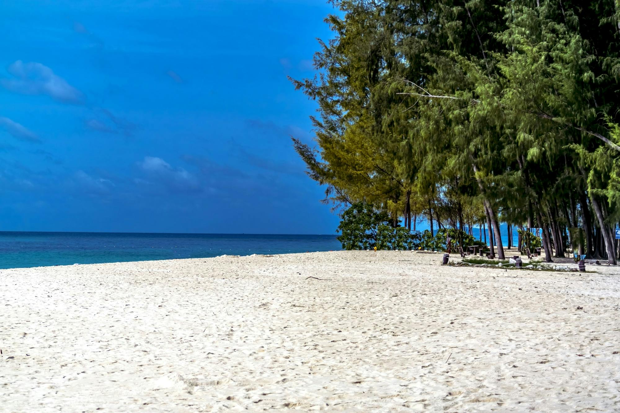 Full-day early Phi Phi and Bamboo Islands by speedboat