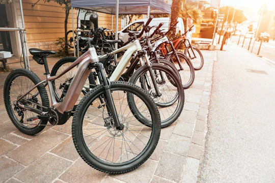 River Cruises Collection: Belgrade E-Bike Tour