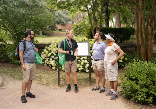 Recorrido gastronómico por Niagara-on-the-Lake con degustación de jarabe de arce y vino