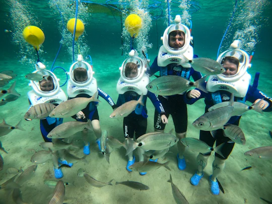 Lanzarote Sea Trek Dive Experience