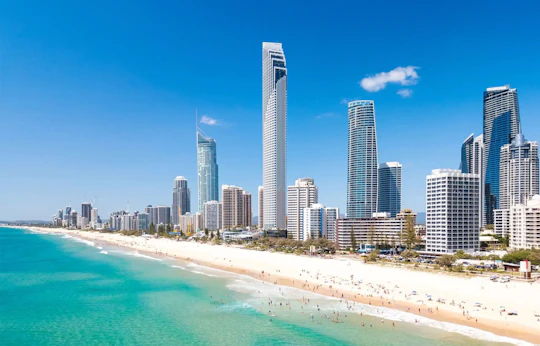 Gold Coast full-day adventure with wildlife spotting and lunch