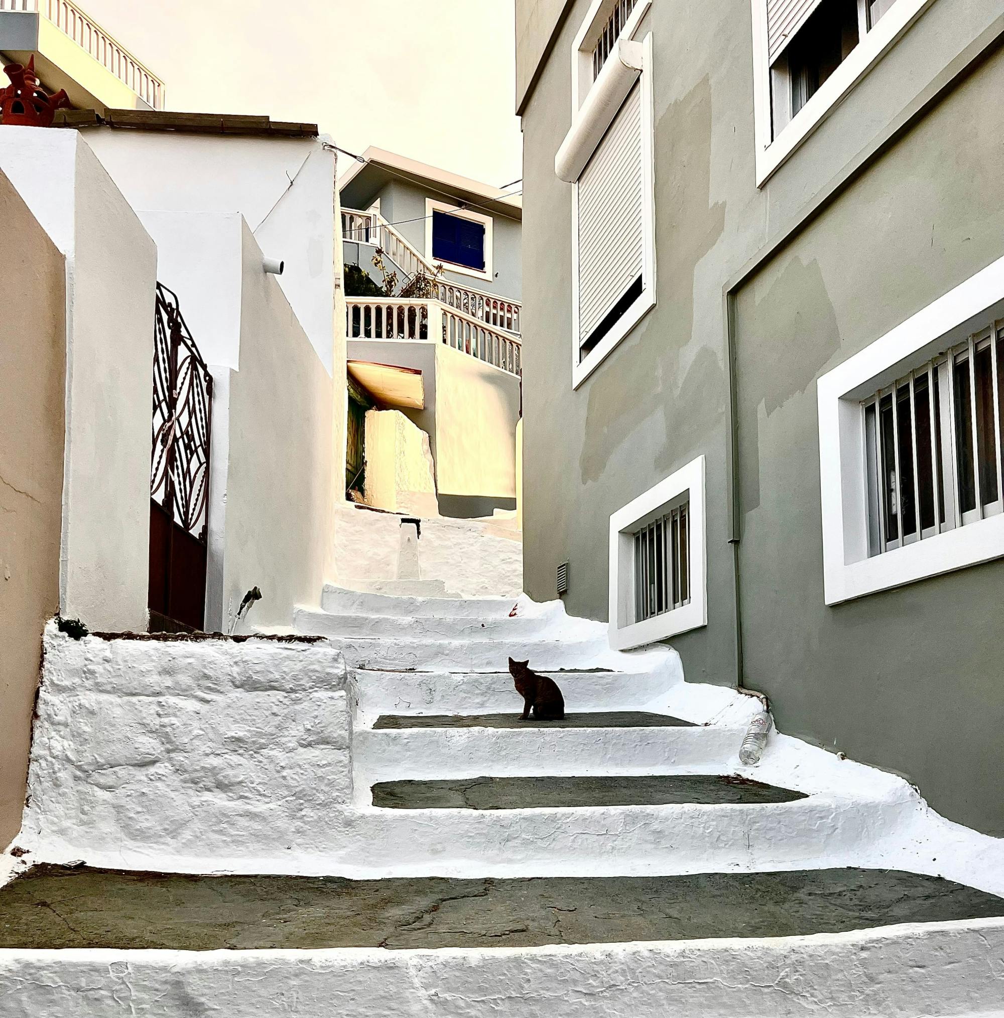 Karpathos wine, honey and tastes of Menetes tour in Greece