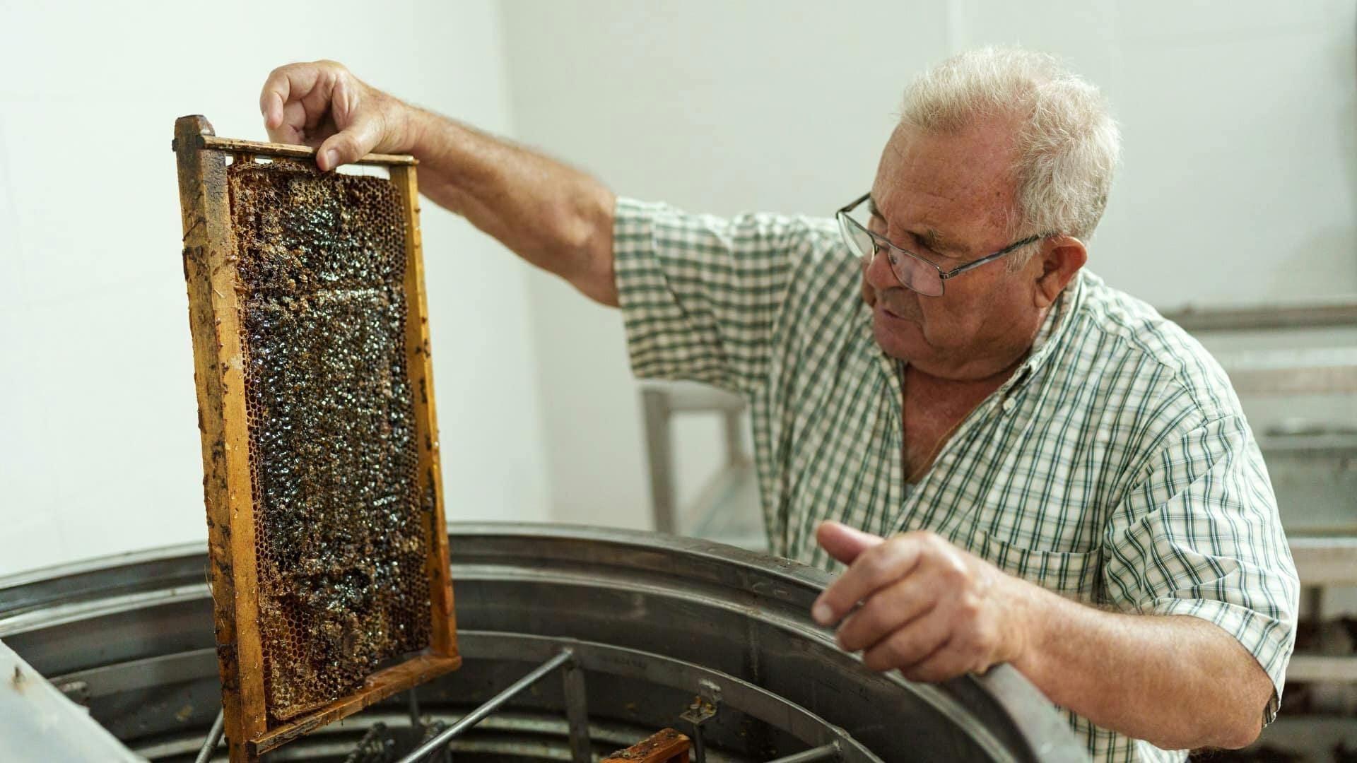 Karpathos wine, honey and tastes of Menetes tour in Greece