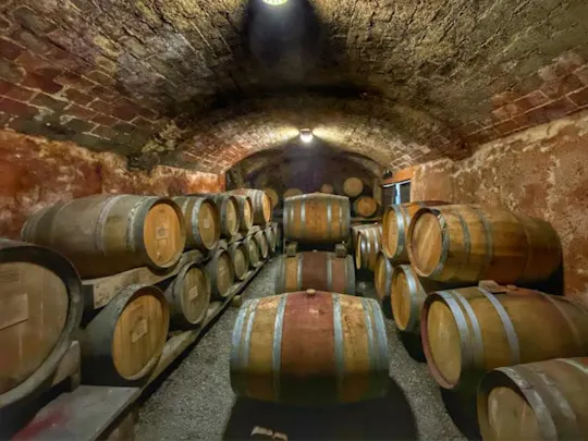 Wine experience in Piedmont