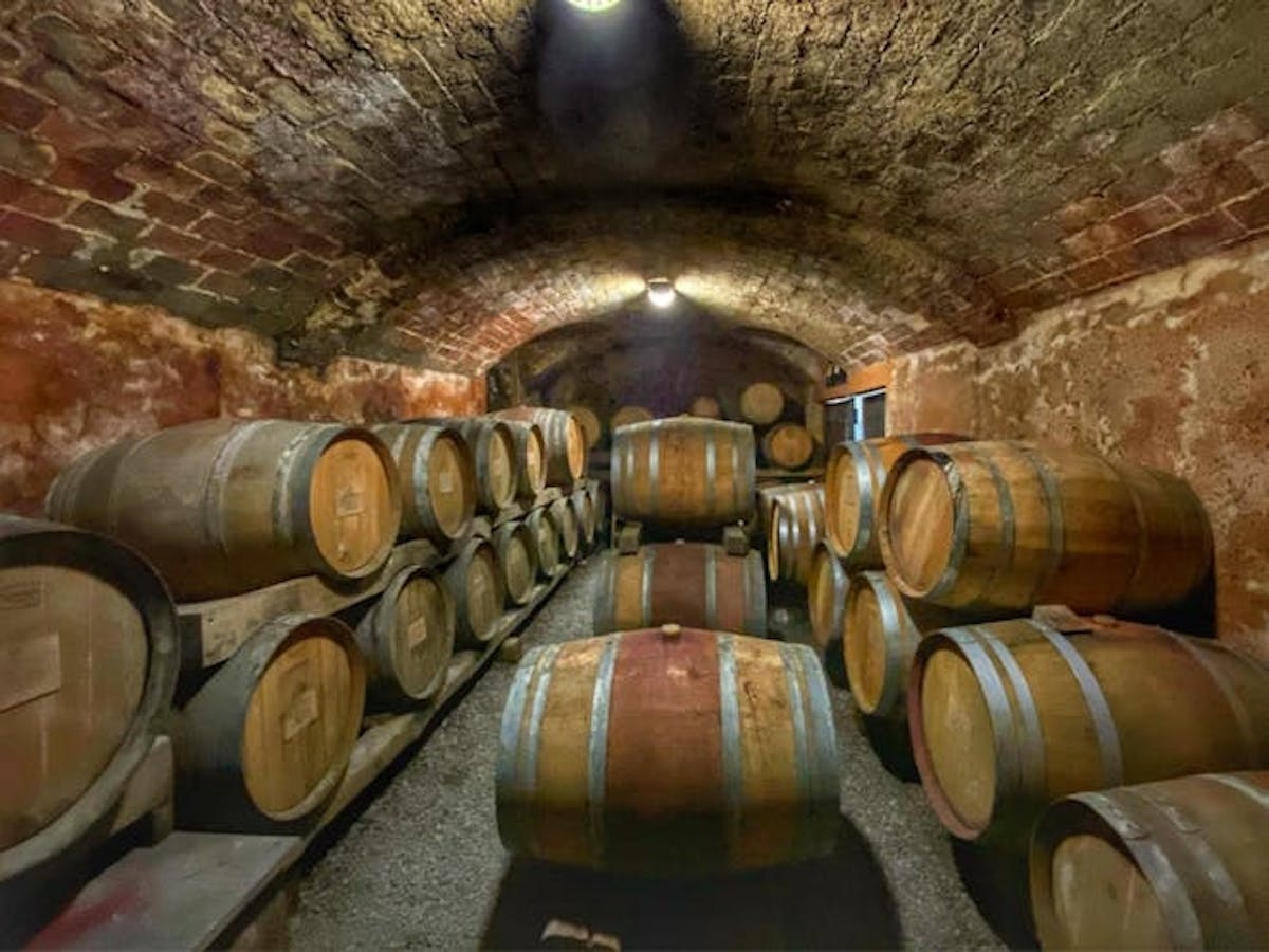 Wijnervaring in Piemonte