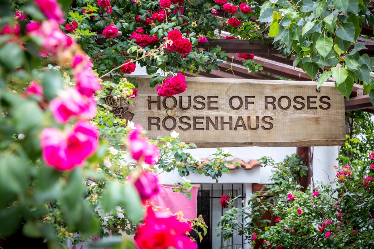 Villaggi di montagna con pranzo e degustazione di miele da Ayia Napa e Protaras