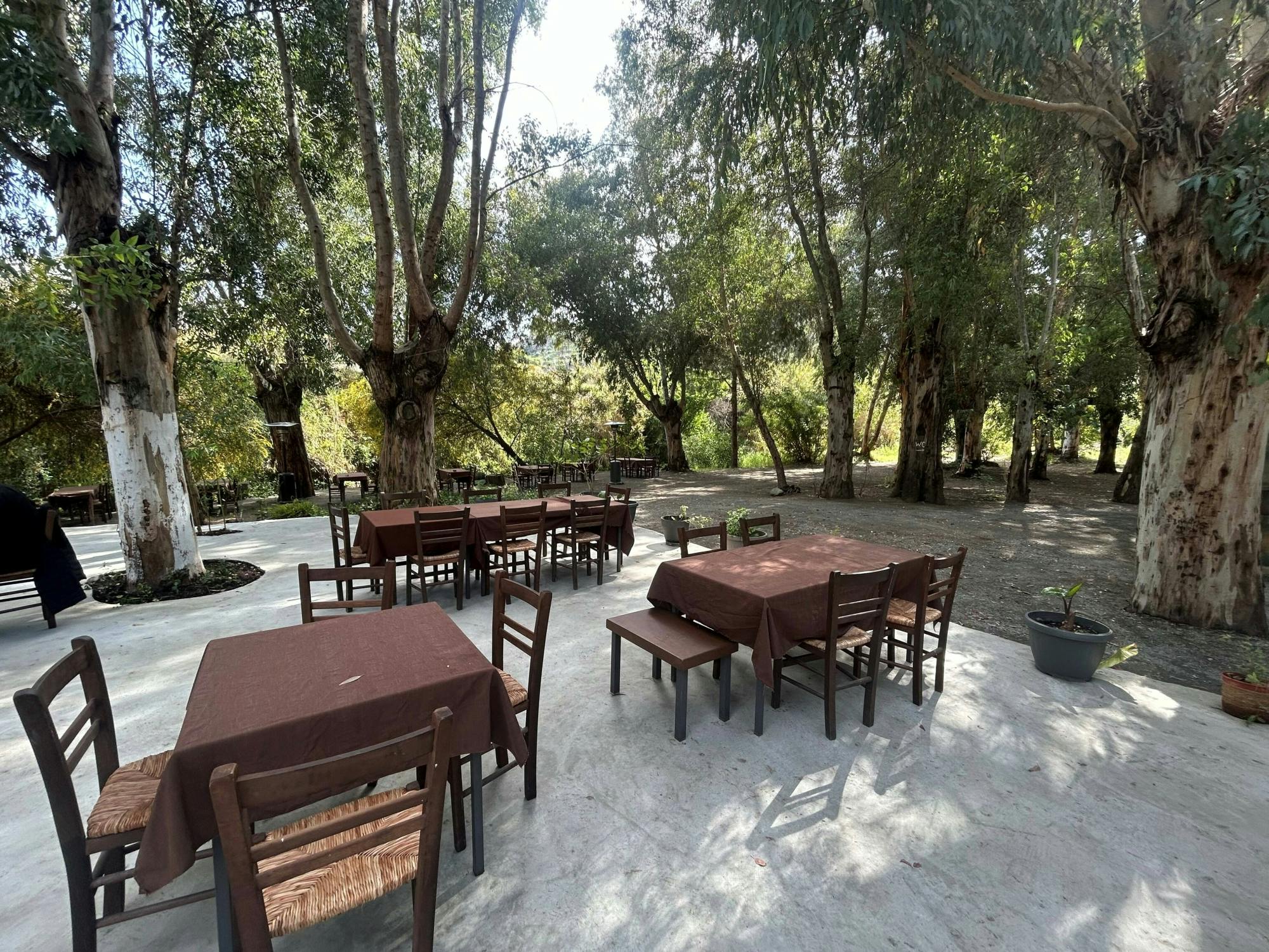 Mountain villages with lunch and honey-tasting from Ayia Napa & Protaras