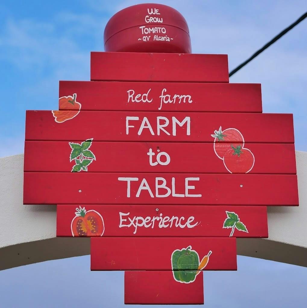 Off-road buggy tour of the Algarve with traditional farm visit