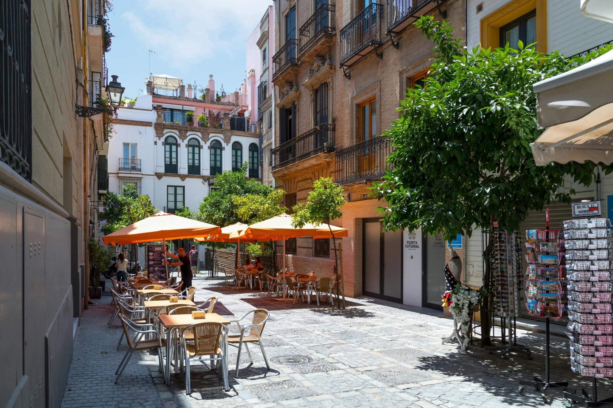 Seville tour with panoramic bus ride and Cathedral visit