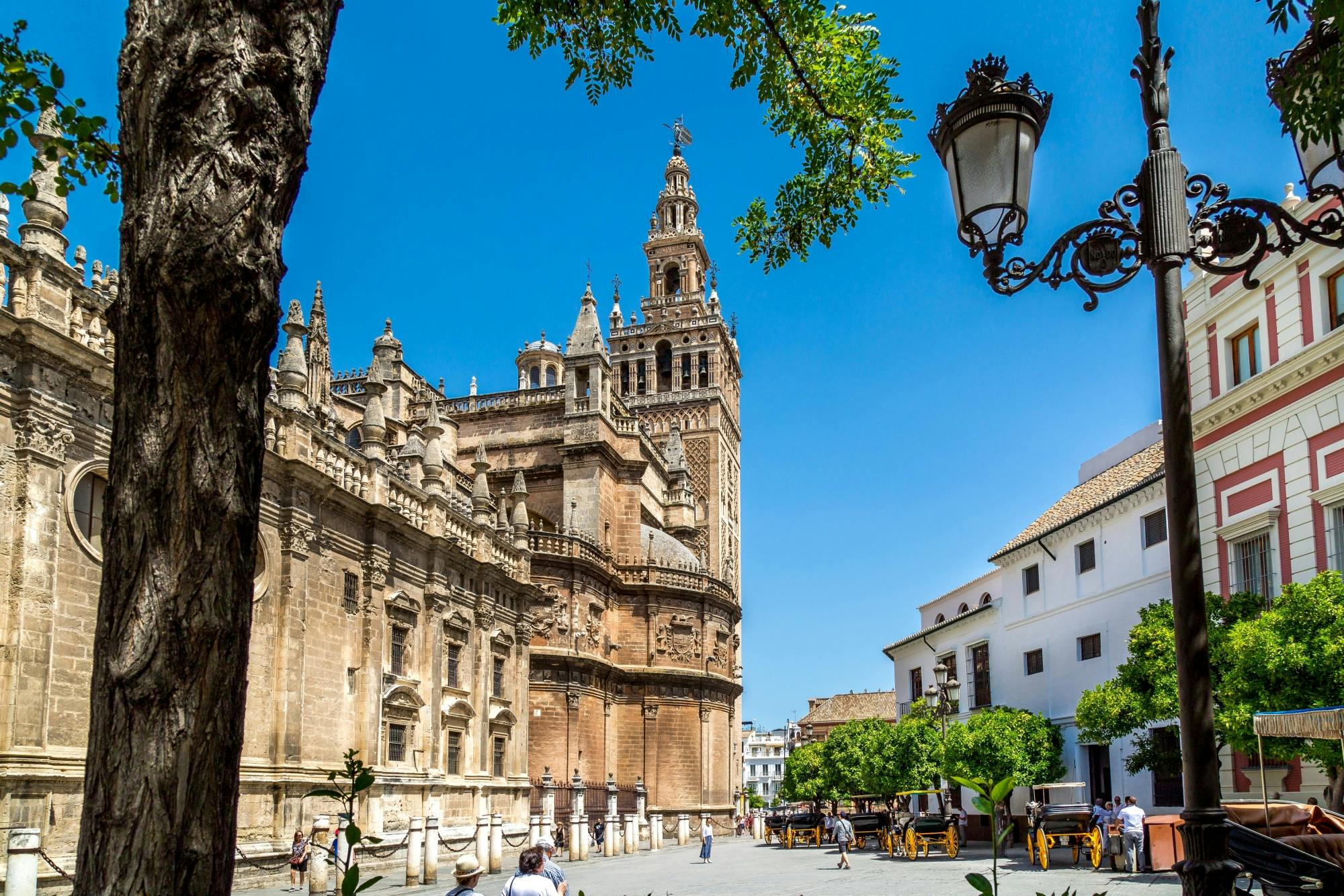 Seville tour with panoramic bus ride and Cathedral visit
