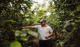 Coffee farm guided tour