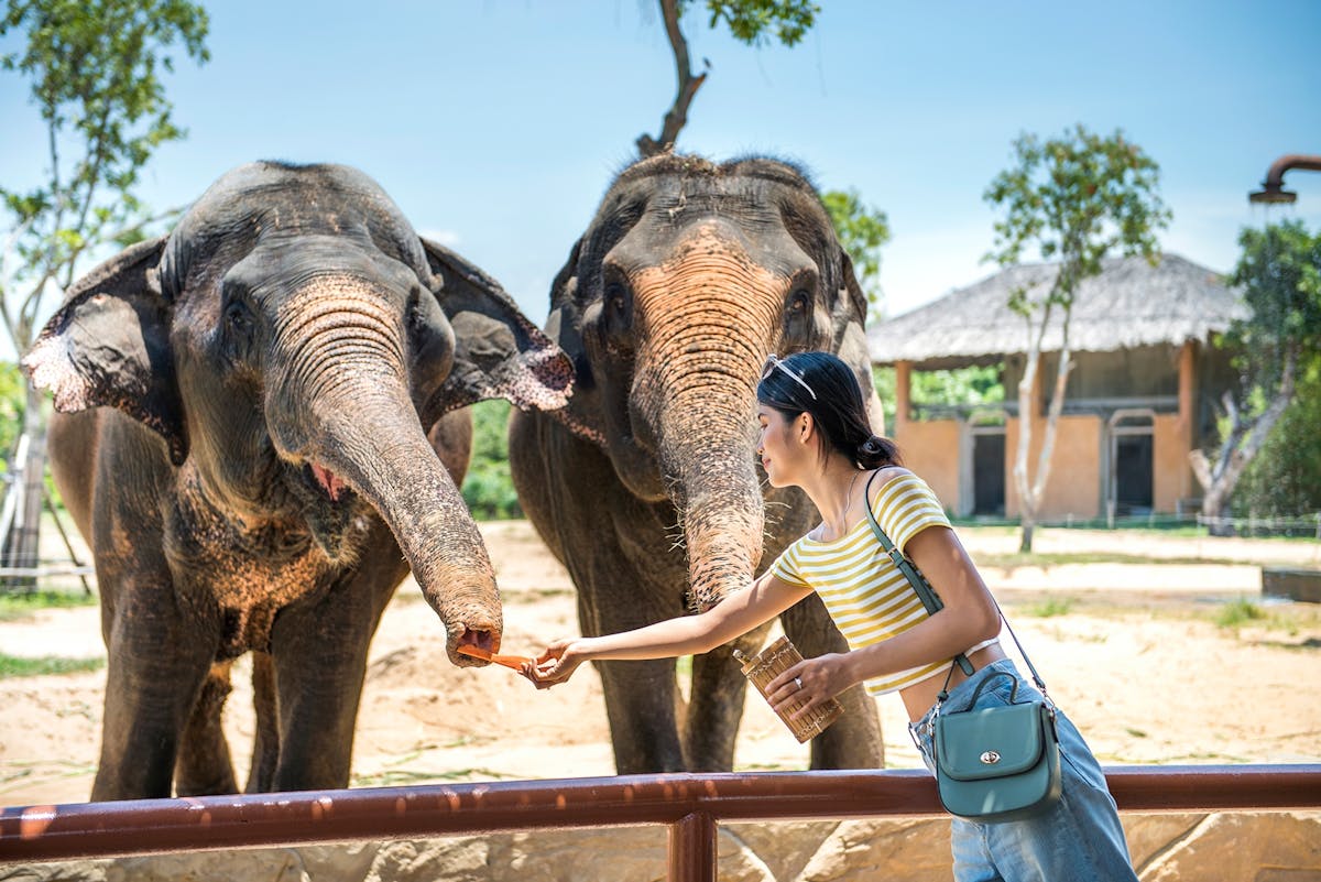 VinWonder Zuid Hoi An tickets