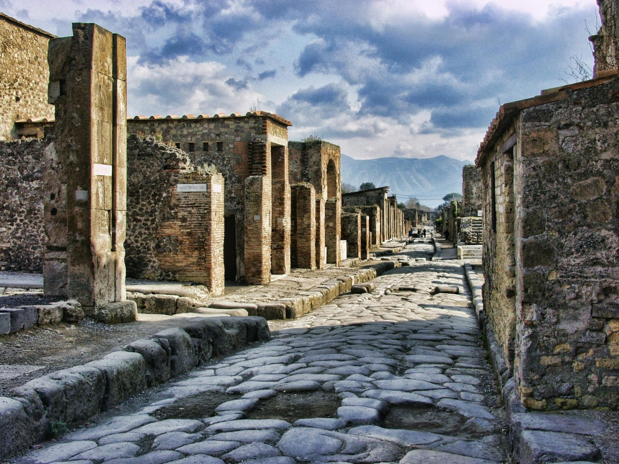 Pompeii Guided Tour & Vesuvius Wine Tasting