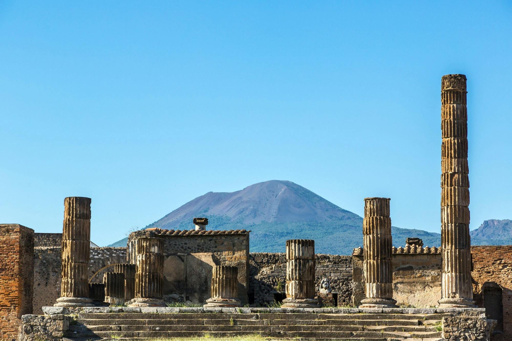 Pompeii Guided Tour & Vesuvius Wine Tasting