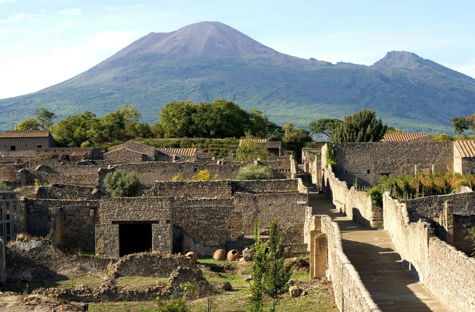 Pompeii Guided Tour & Vesuvius Wine Tasting