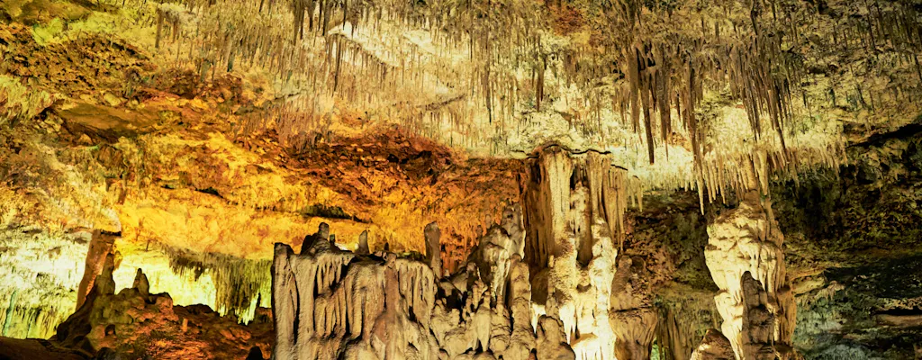 Hams Caves