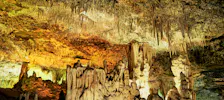 Hams Caves