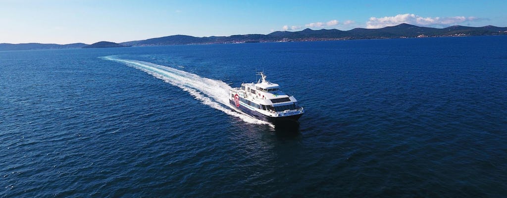 Ferry Journey from Dubrovnik to Kotor with Guided Tour