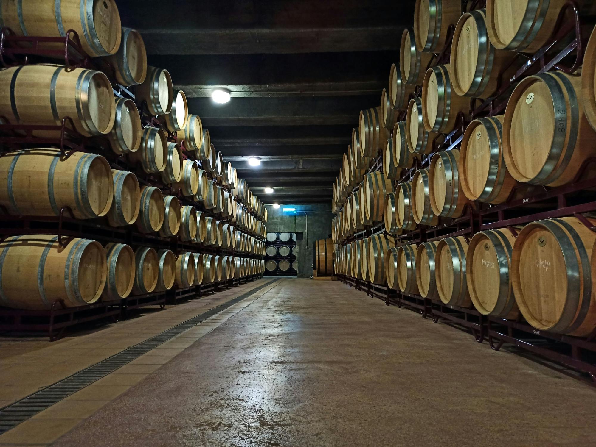 Altea and Enrique Mendoza Winery