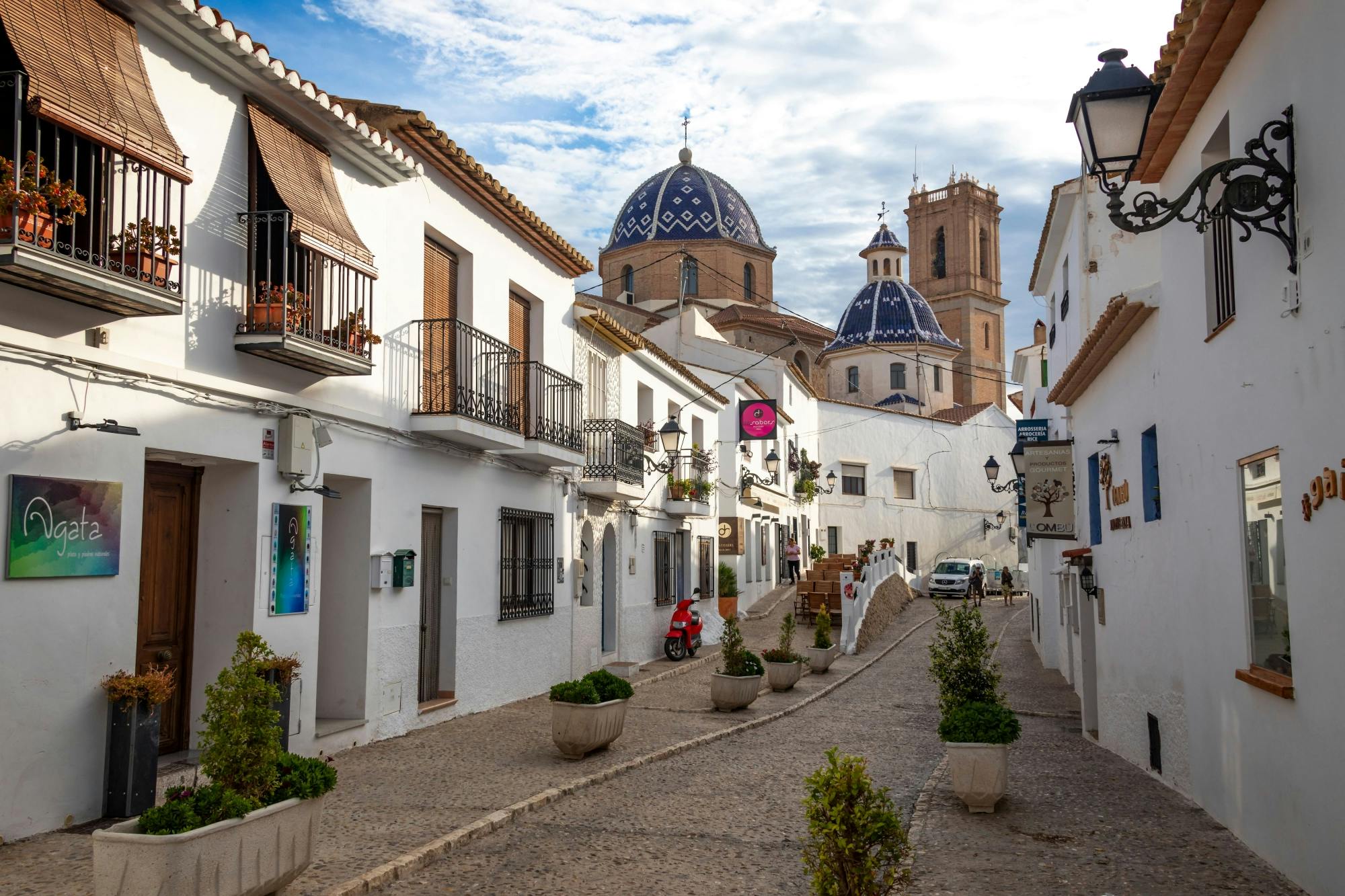 Altea and Enrique Mendoza Winery