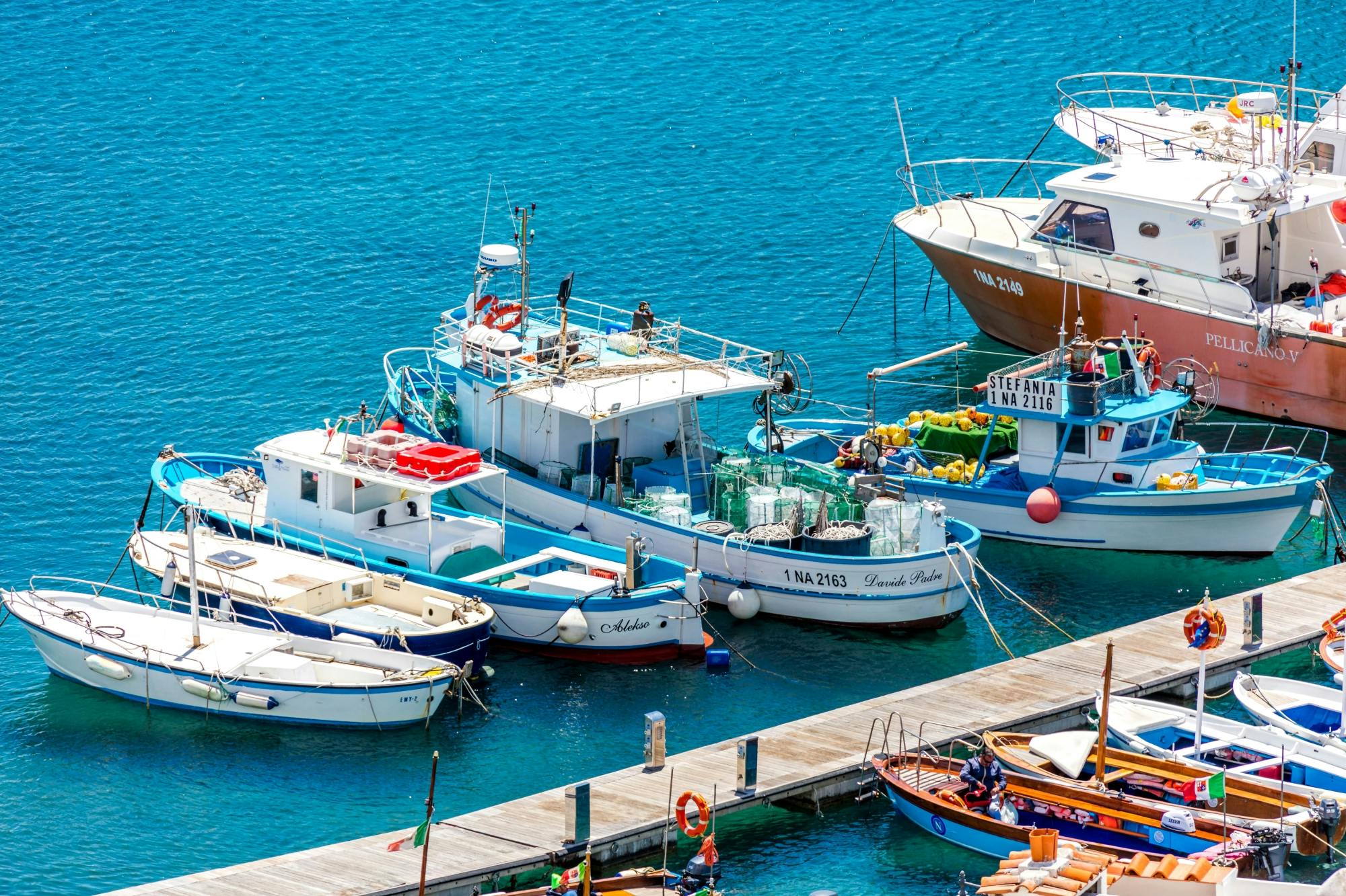 Ischia Island Cruise with Lunch