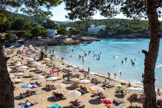 Ibiza en Dalt Vila privé dagtocht