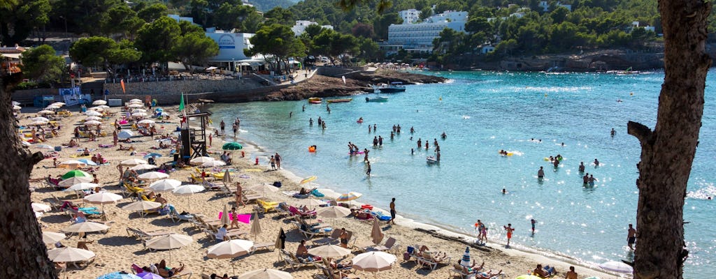 Private Full Day Tour of Ibiza and Dalt Vila
