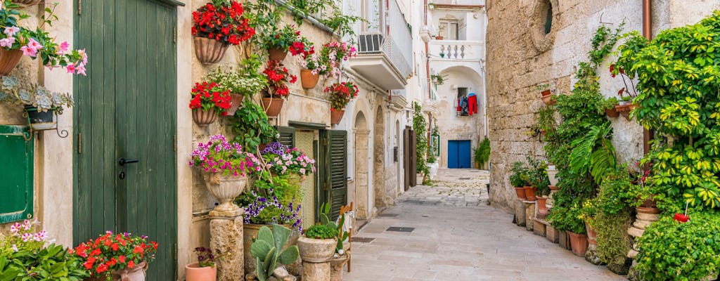 Polignano and Monopoli full day tour from Salento Ionian Coast