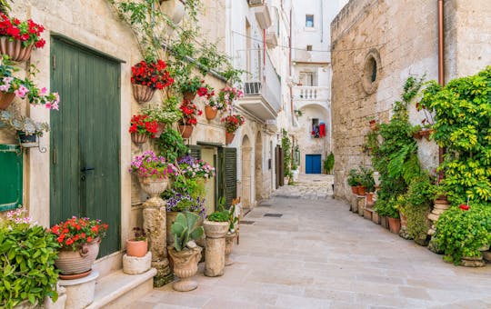 Polignano en Monopoli hele dag tour vanuit Salento Ionische Kust