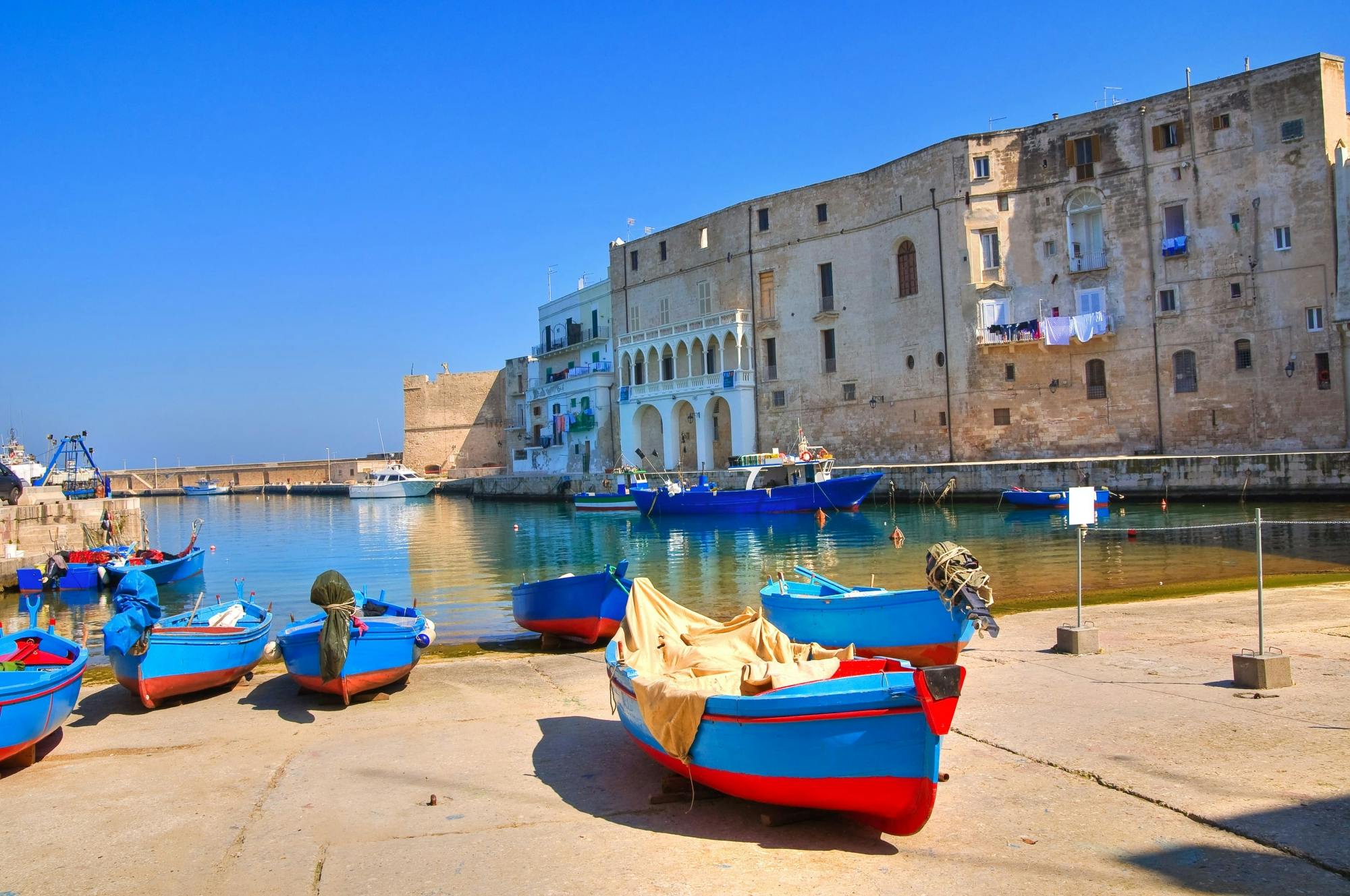 Polignano and Monopoli full day tour from Salento Ionian Coast