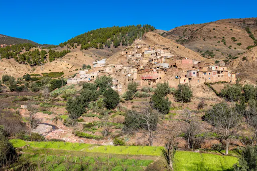 Guided Atlas Mountains 4x4 tour with Berber lunch in Immouzer
