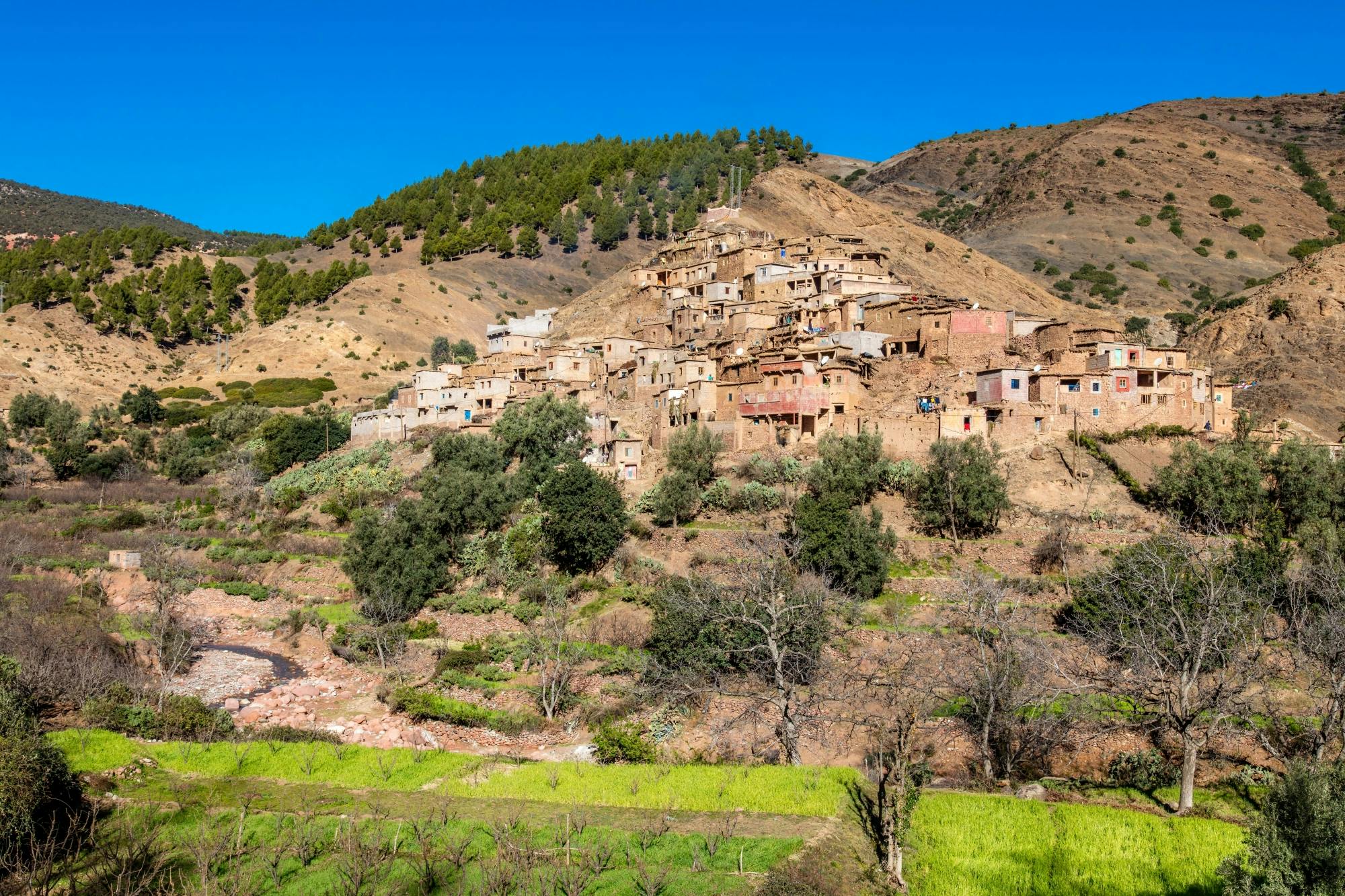 Guided Atlas Mountains 4x4 tour with Berber lunch in Immouzer