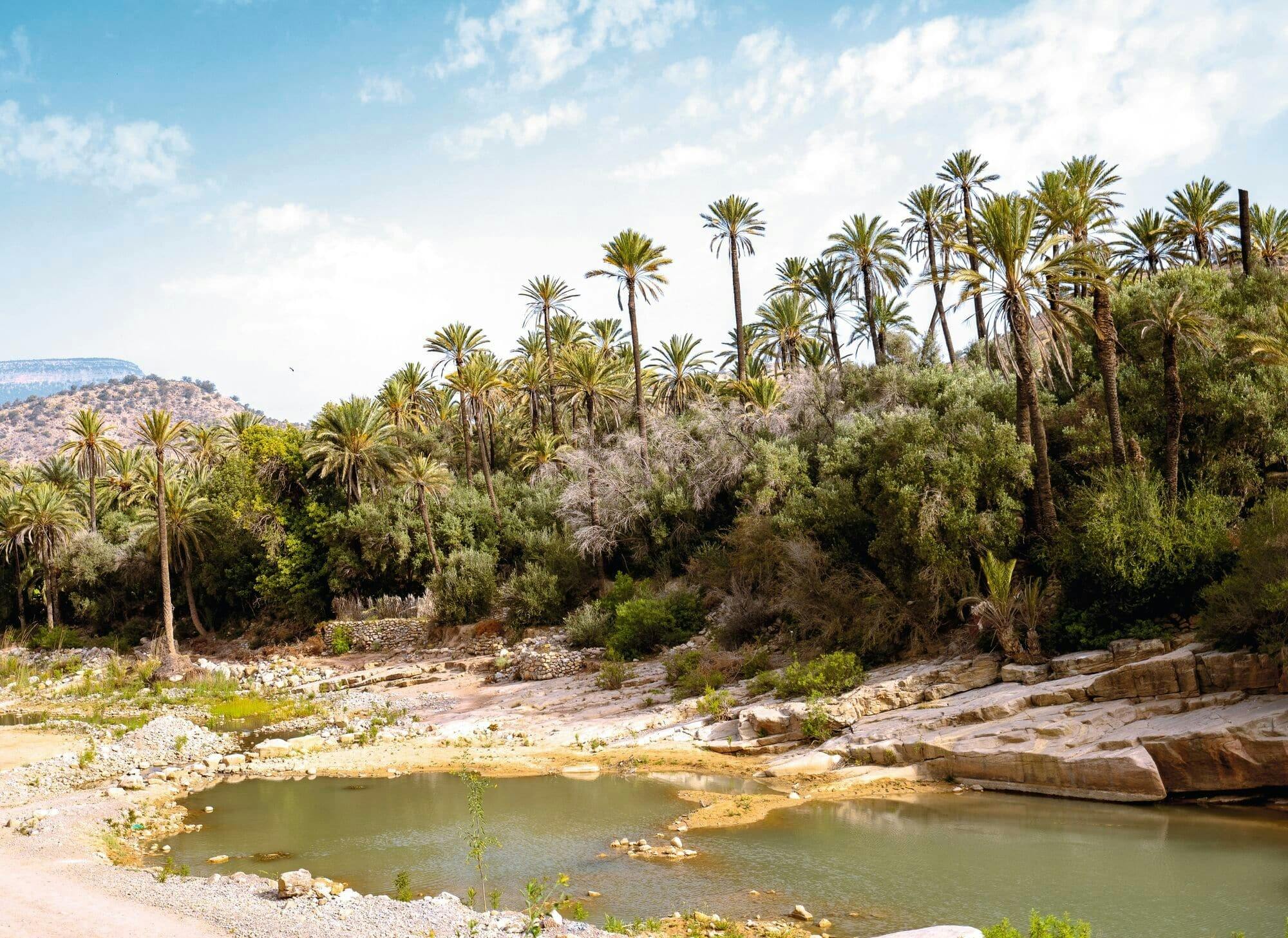 Guided Atlas Mountains 4x4 tour with Berber lunch in Immouzer
