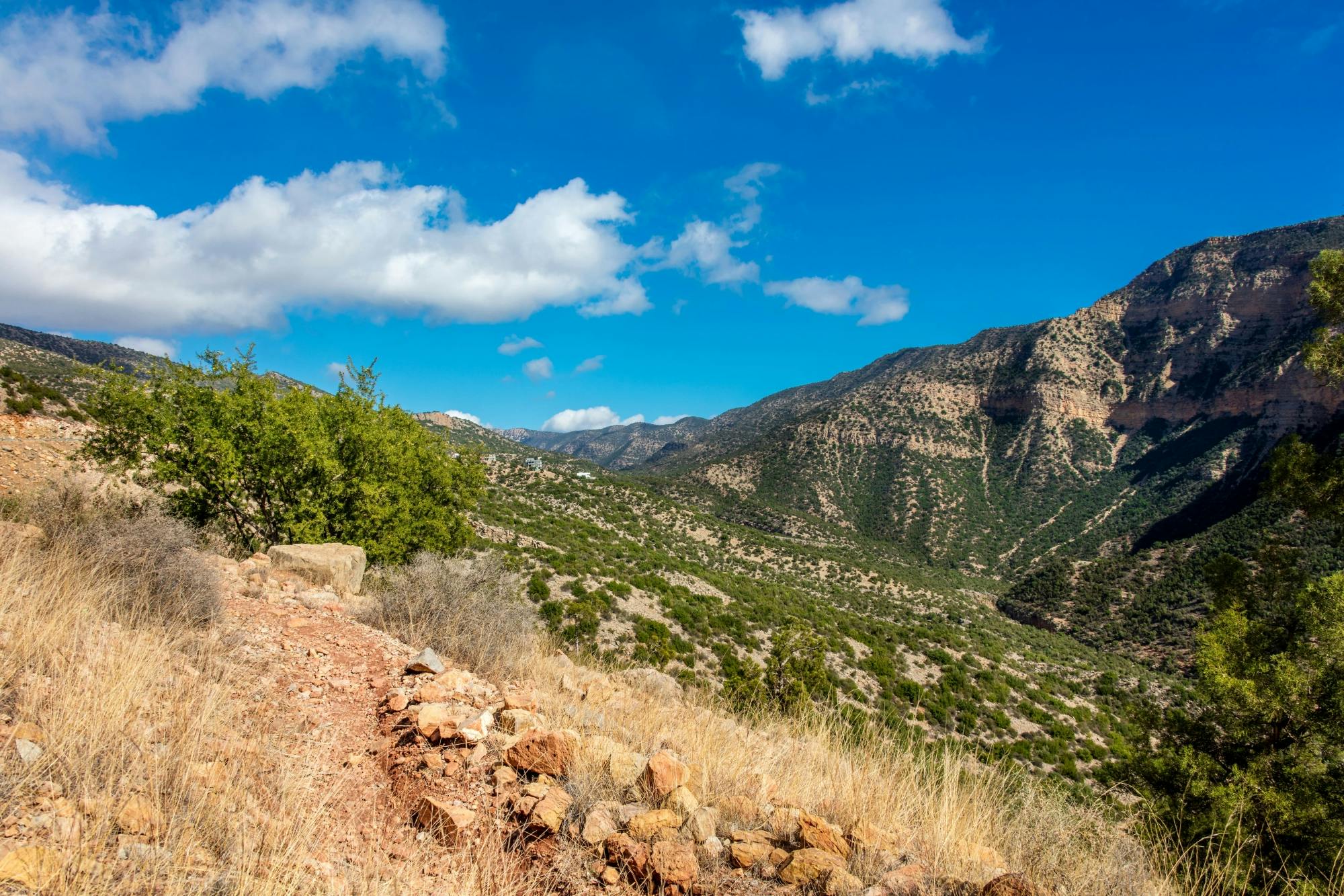Guided Atlas Mountains 4x4 tour with Berber lunch in Immouzer
