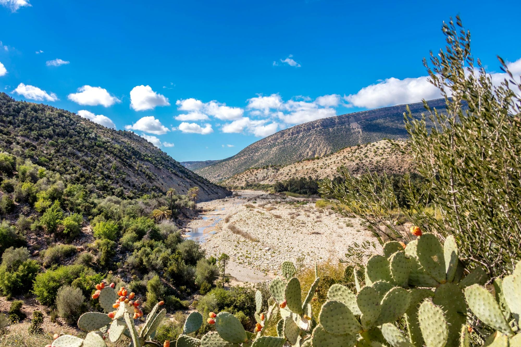 Guided Atlas Mountains 4x4 tour with Berber lunch in Immouzer