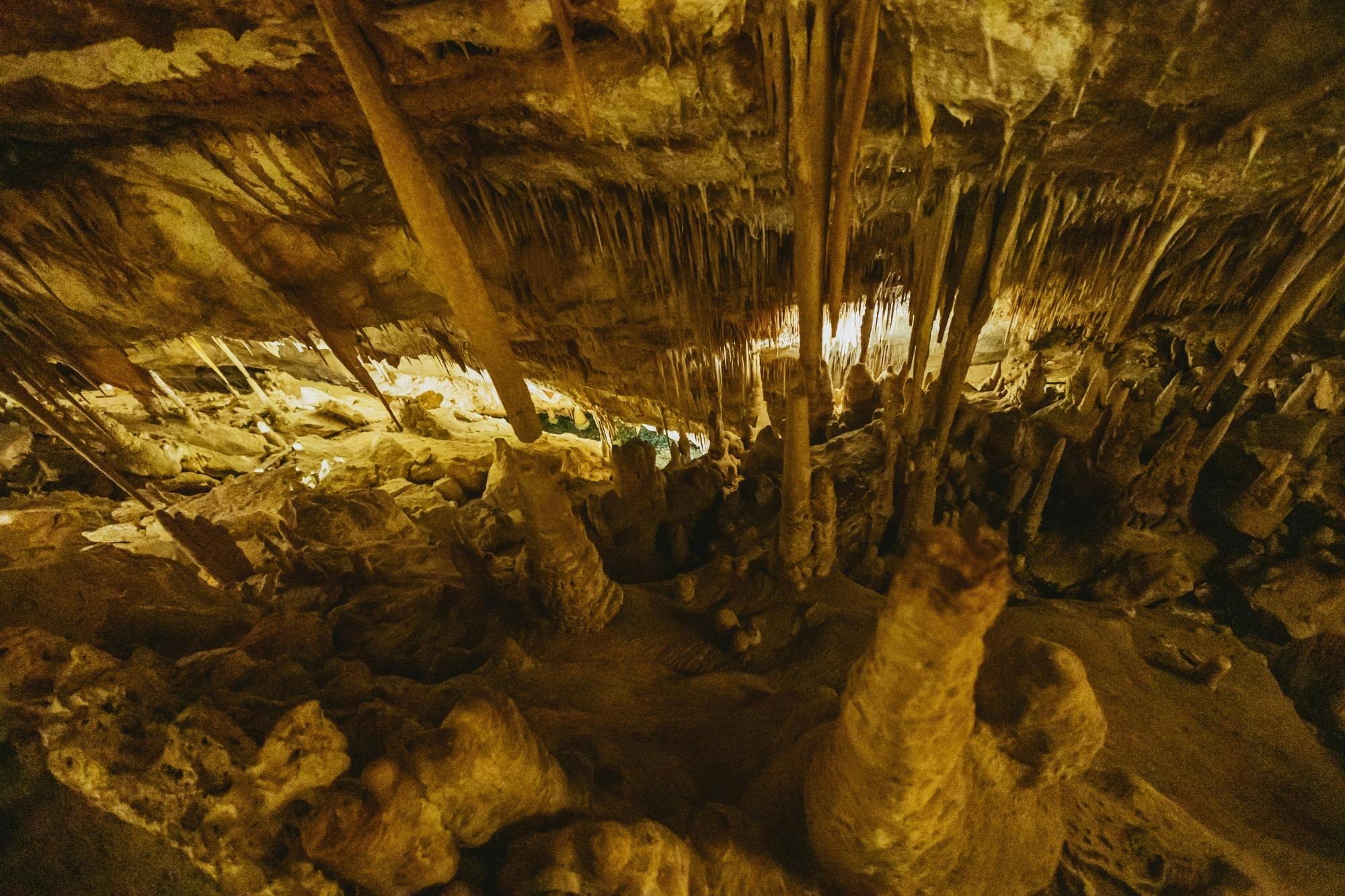 Drach Caves and pearl factory half-day tour in Czech