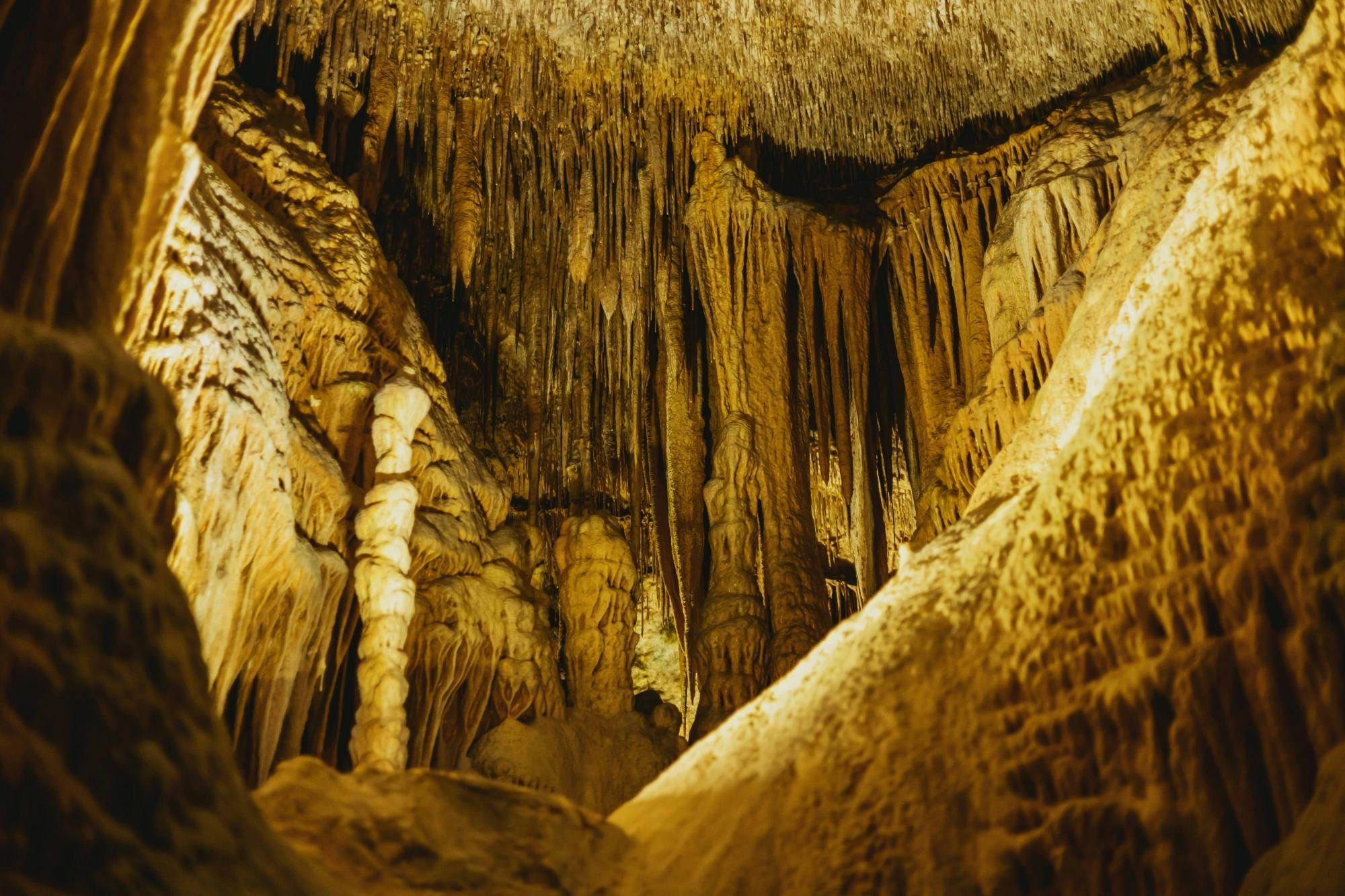 Drach Caves and pearl factory half-day tour in Czech