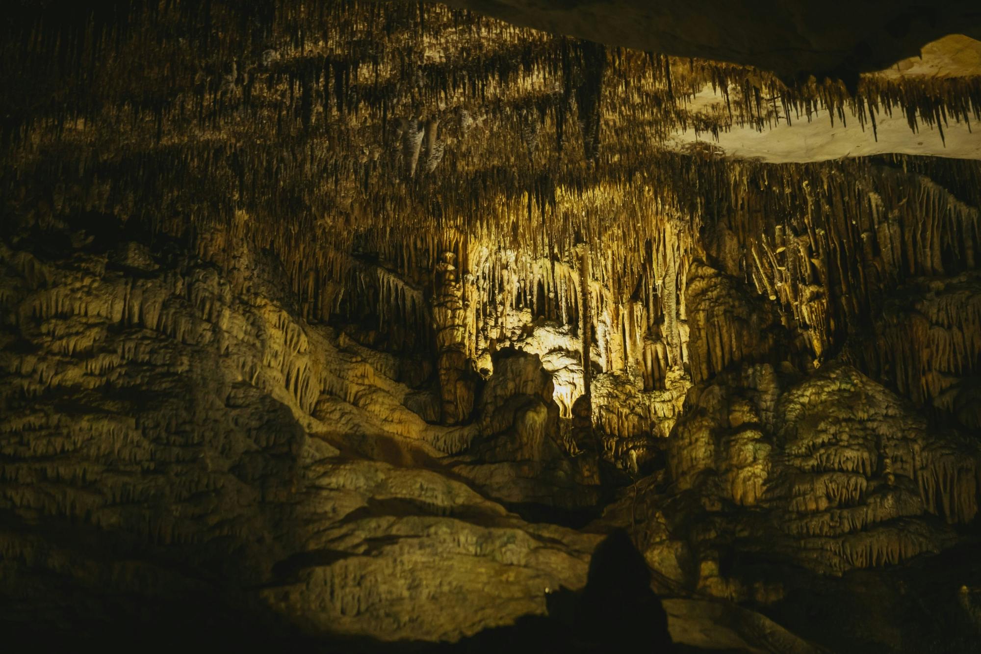 Drach Caves and pearl factory half-day tour in Czech