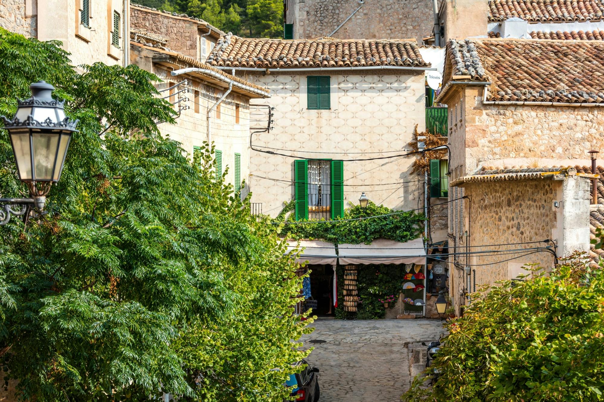 Majorca’s Valldemossa and Sa Foradada tour with tastings in Czech