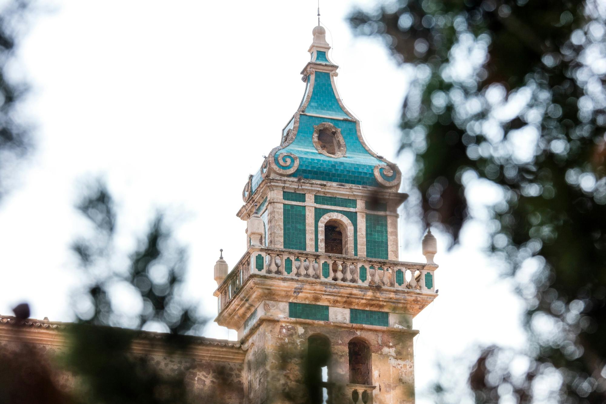 Majorca’s Valldemossa and Sa Foradada tour with tastings in Czech