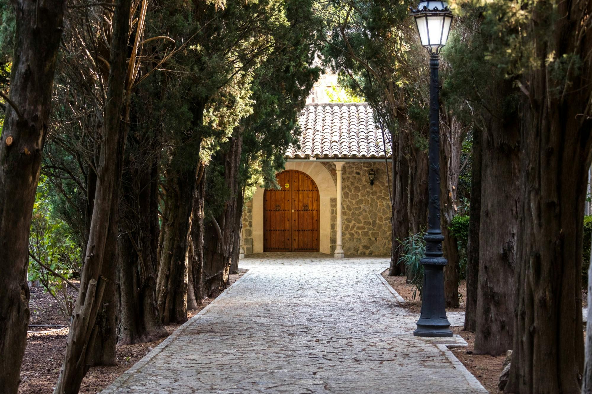 Majorca’s Valldemossa and Sa Foradada tour with tastings in Czech